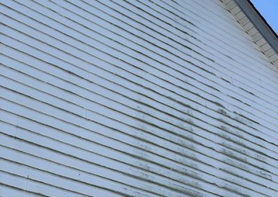 Professional Pressure Washing