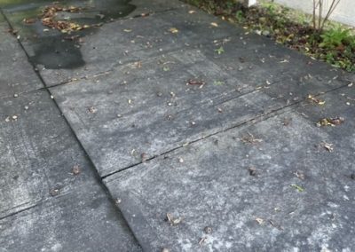 Pressure Washing Services